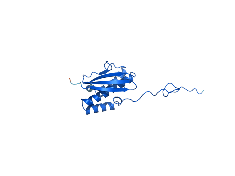 AlphaFold predicted structure of RPS16A