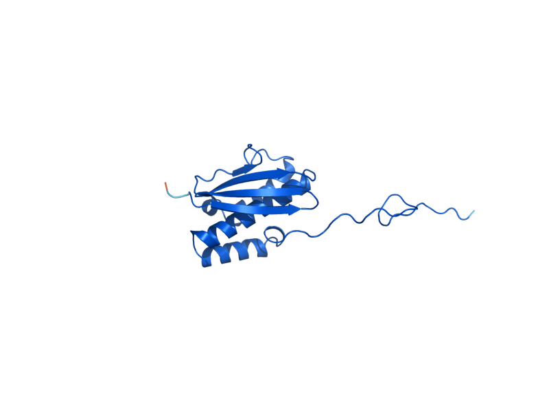 AlphaFold predicted structure of RPS16B