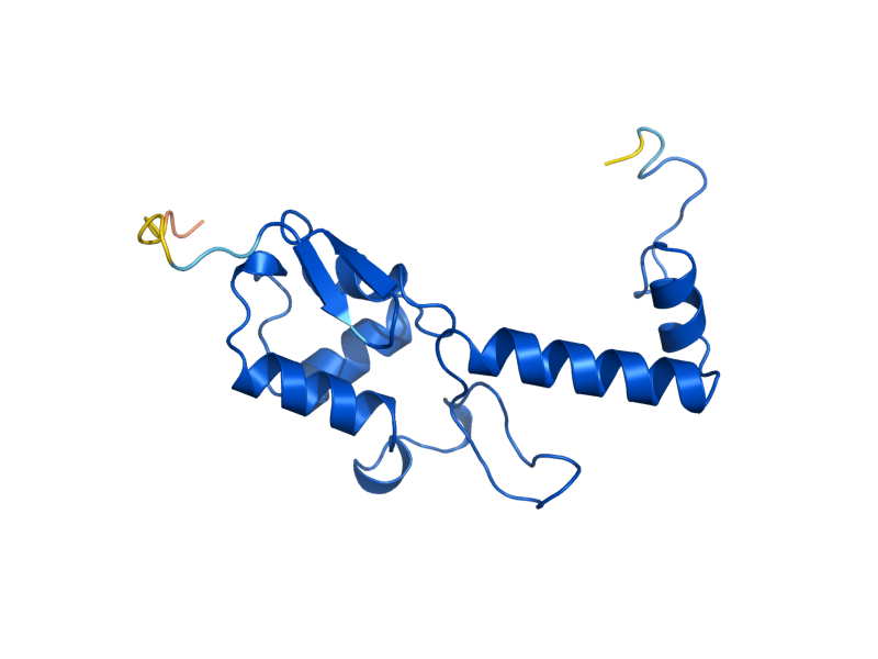 AlphaFold predicted structure of RPS18A