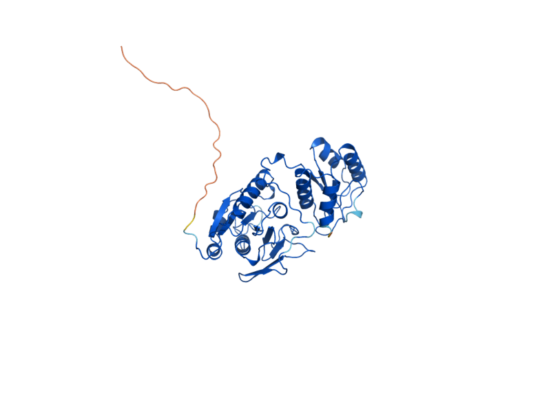 AlphaFold predicted structure of ASP3-2