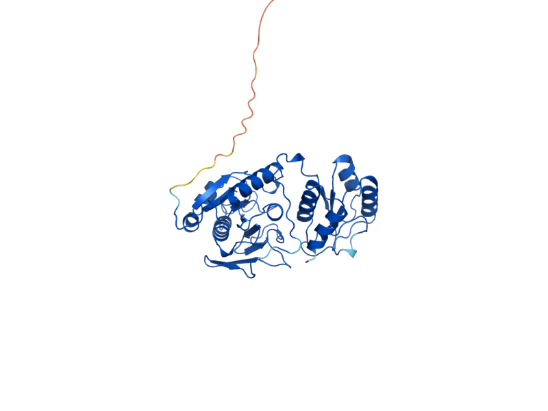 AlphaFold predicted structure of ASP3-3