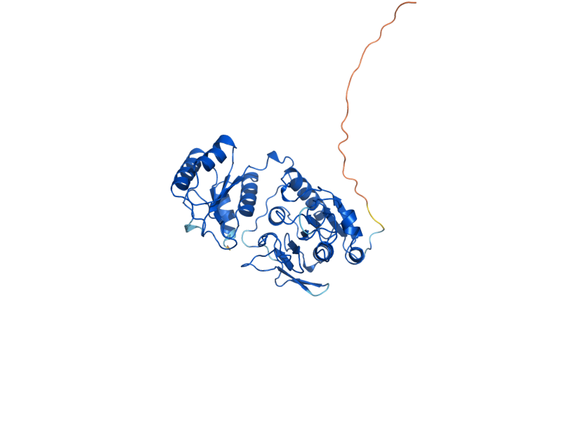 AlphaFold predicted structure of ASP3-4