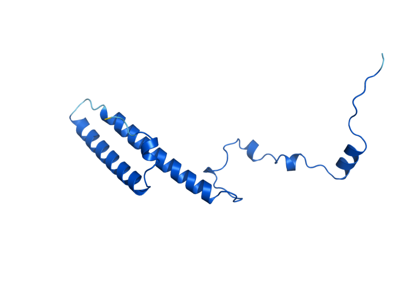 AlphaFold predicted structure of RPL35A