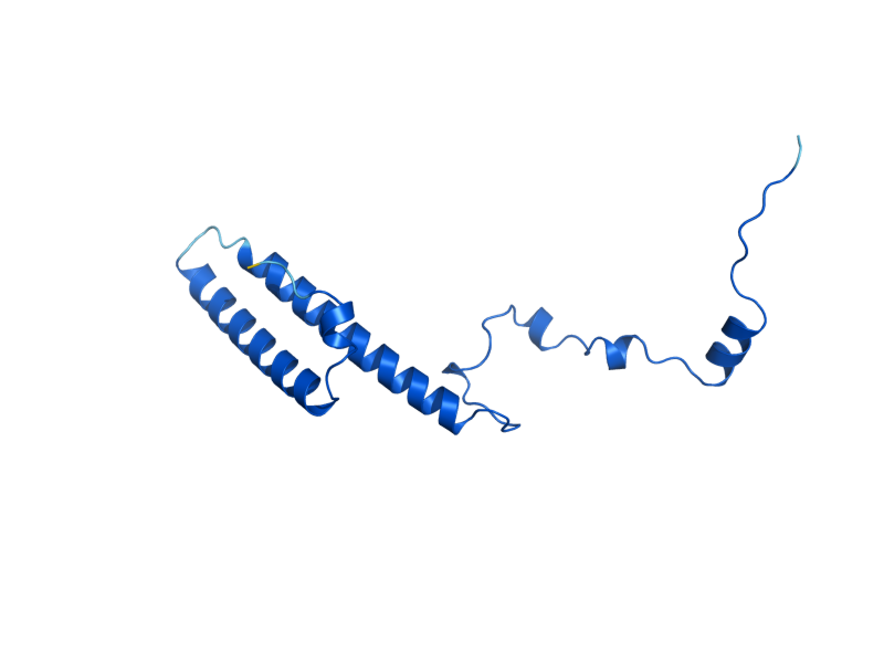 AlphaFold predicted structure of RPL35B