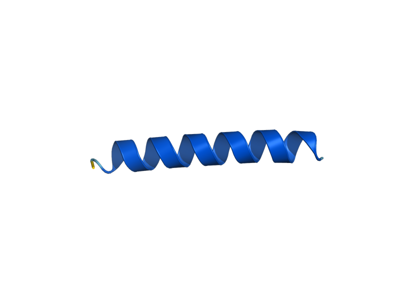 AlphaFold predicted structure of RPL41B
