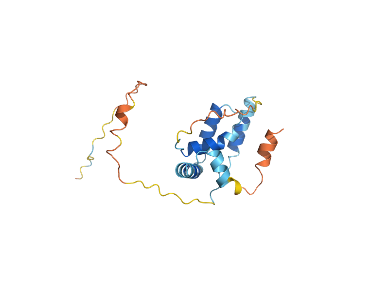 AlphaFold predicted structure of HMLALPHA1