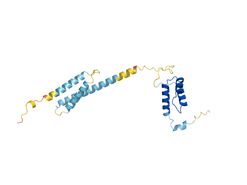 AlphaFold predicted structure of MATALPHA2