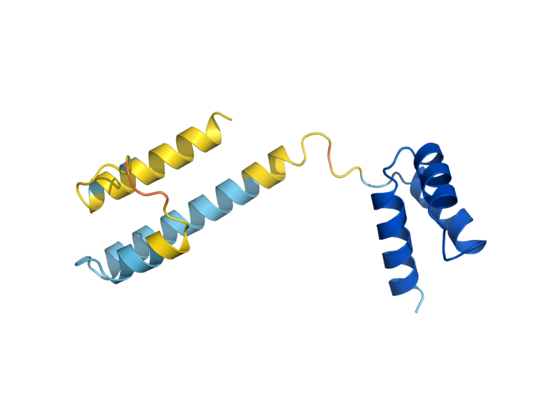 AlphaFold predicted structure of HMRA1