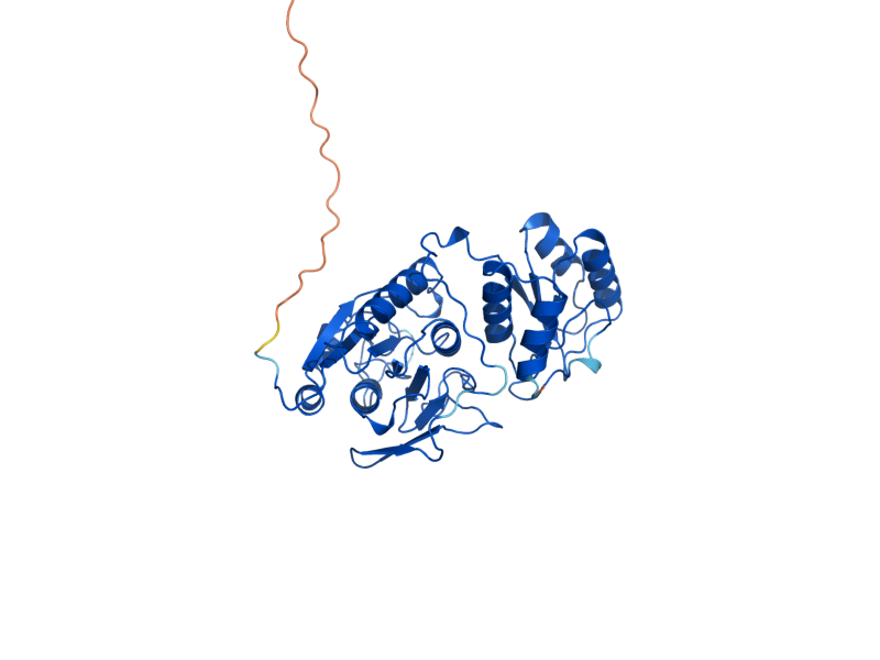 AlphaFold predicted structure of ASP3-1