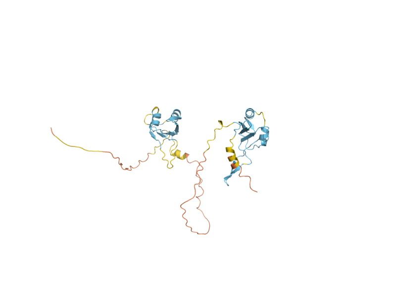 AlphaFold predicted structure of SBP1