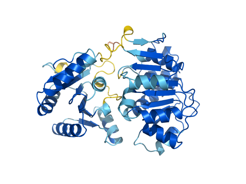 AlphaFold predicted structure of TIF1