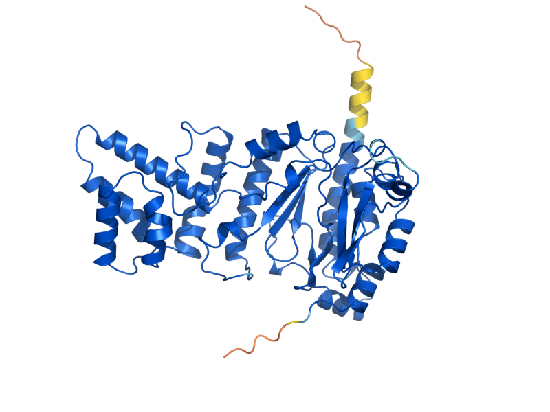 AlphaFold predicted structure of PRI1