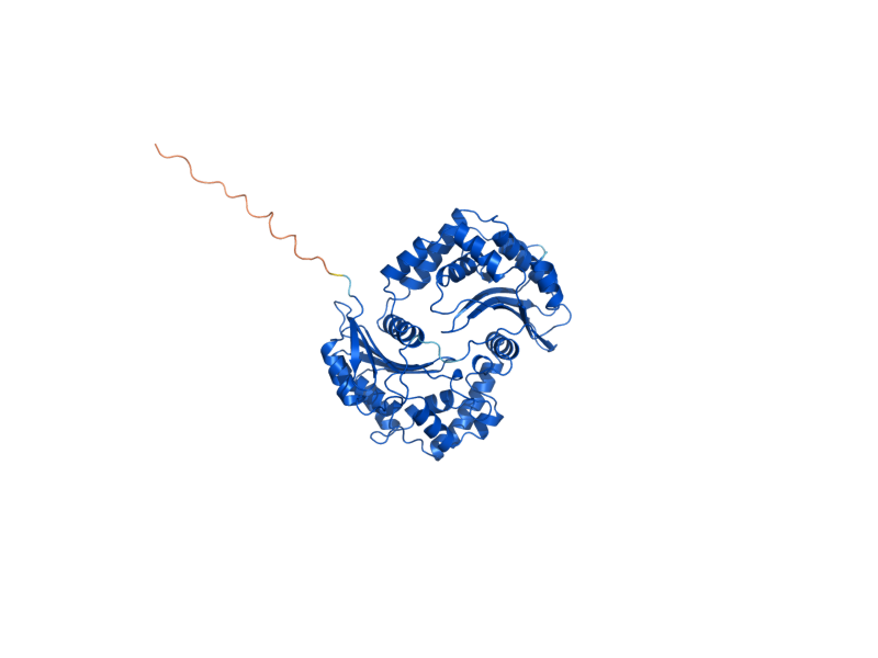 AlphaFold predicted structure of MAS1