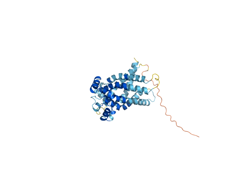 AlphaFold predicted structure of MRS3