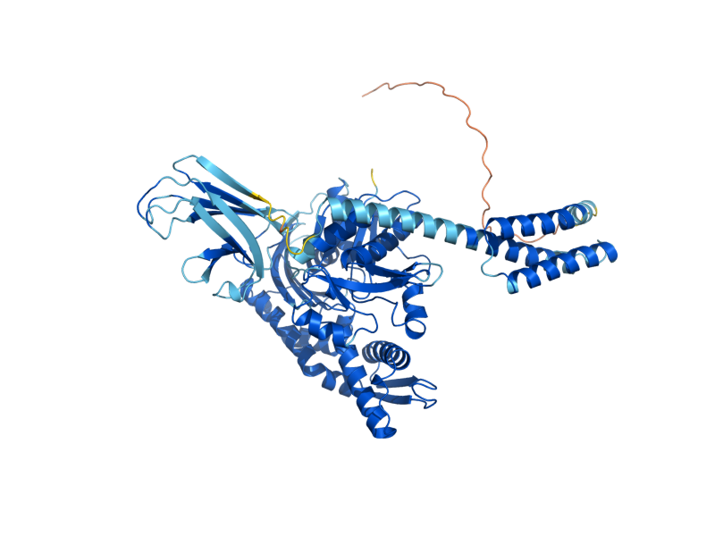 AlphaFold predicted structure of SSA1
