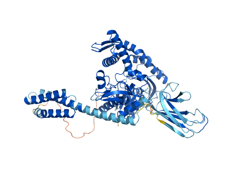 AlphaFold predicted structure of SSA2