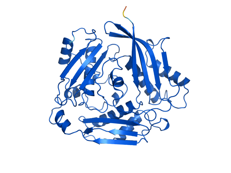 AlphaFold predicted structure of SAM1