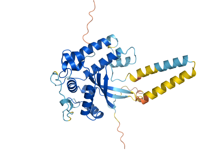 AlphaFold predicted structure of MRP1