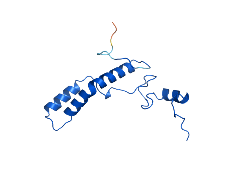 AlphaFold predicted structure of MRP2