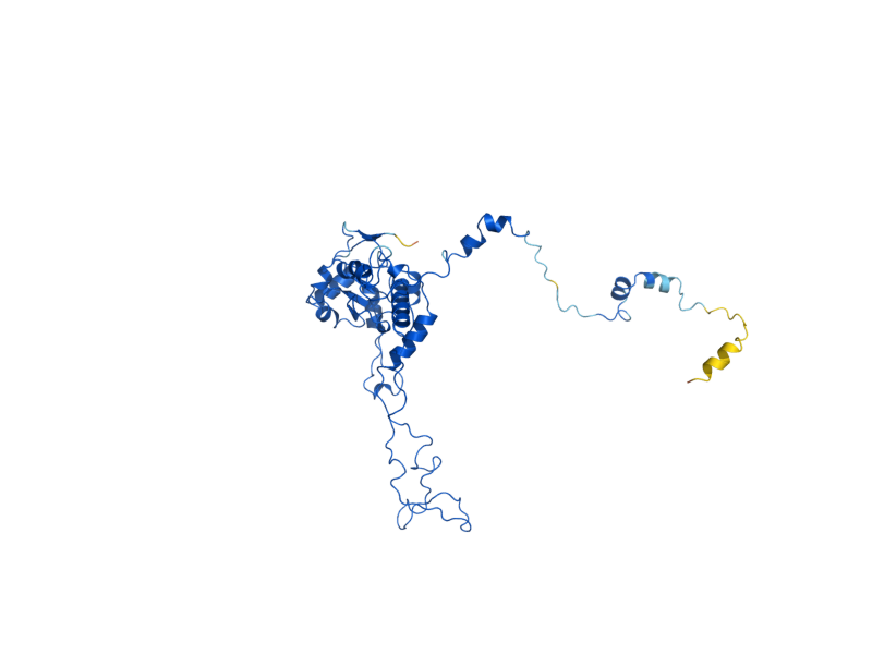 AlphaFold predicted structure of RPL4A