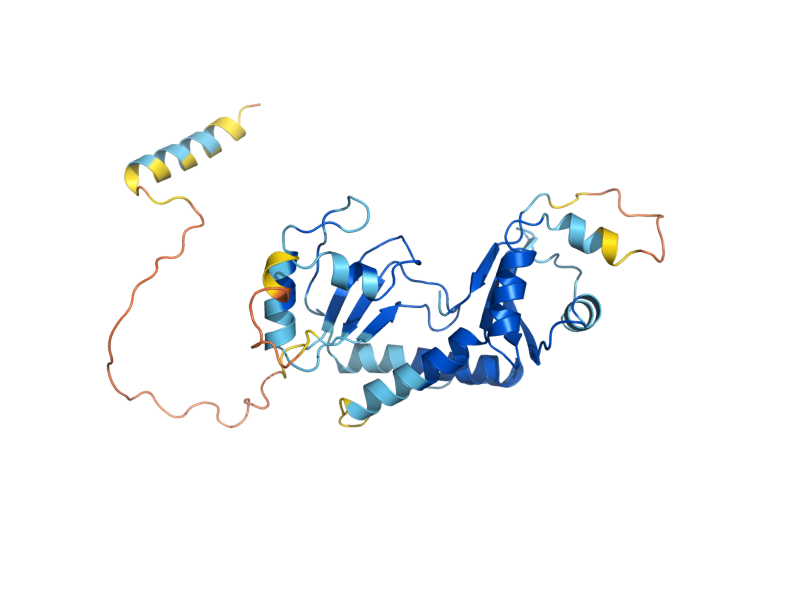AlphaFold predicted structure of PET54
