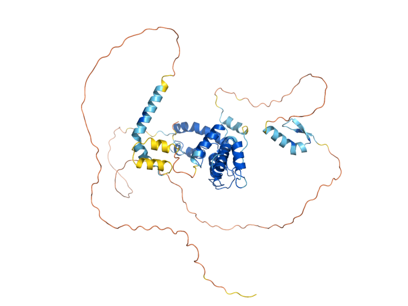 AlphaFold predicted structure of RAD18