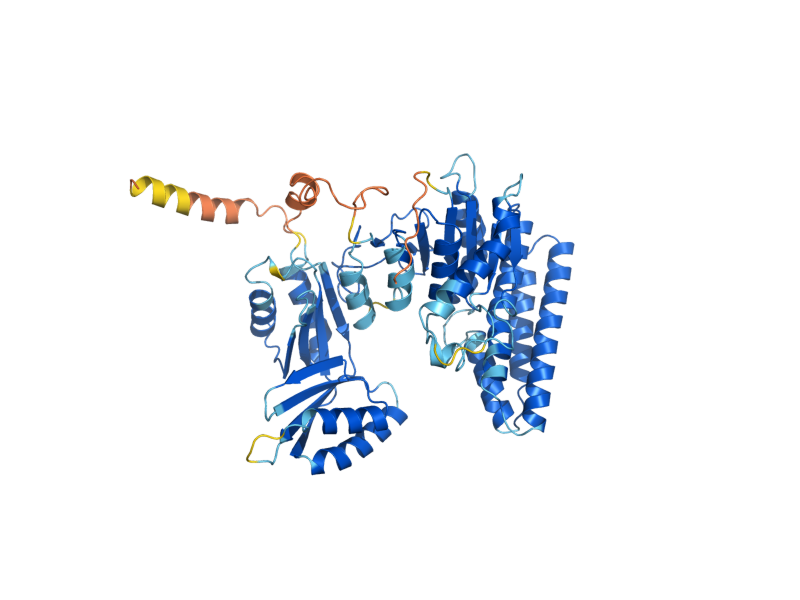 AlphaFold predicted structure of HOM3