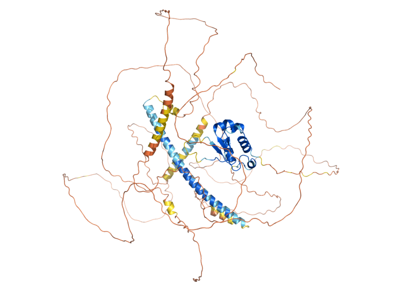 AlphaFold predicted structure of HSF1