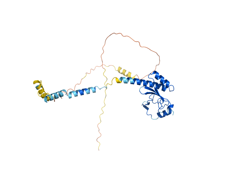 AlphaFold predicted structure of MAK16