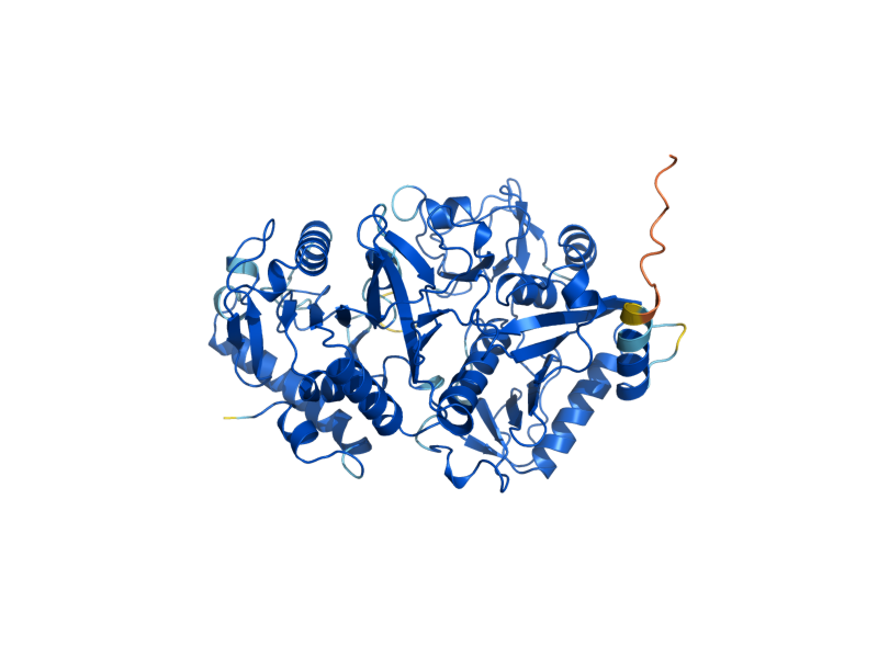 AlphaFold predicted structure of PCK1