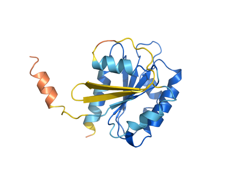 AlphaFold predicted structure of ARF1