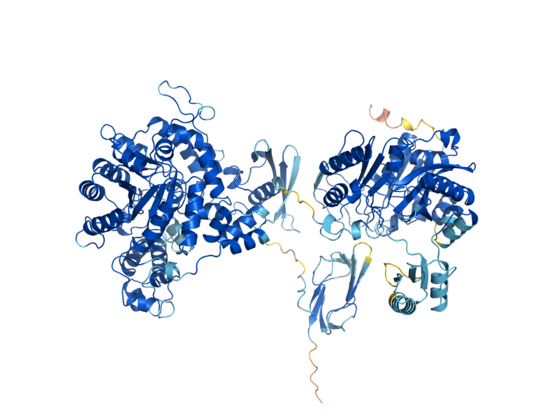AlphaFold predicted structure of PYC1