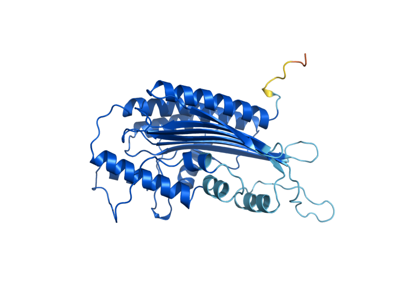 AlphaFold predicted structure of HEM13