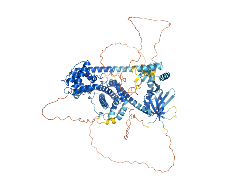AlphaFold predicted structure of CDC24