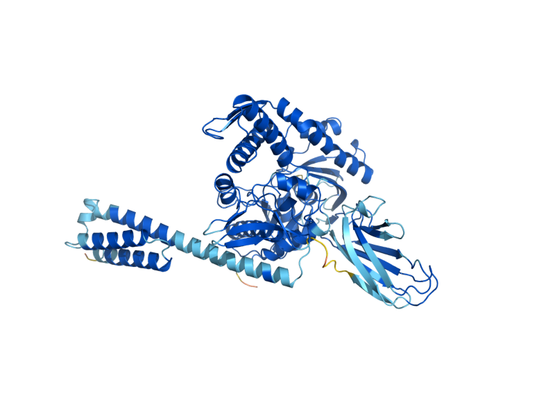 AlphaFold predicted structure of SSB1