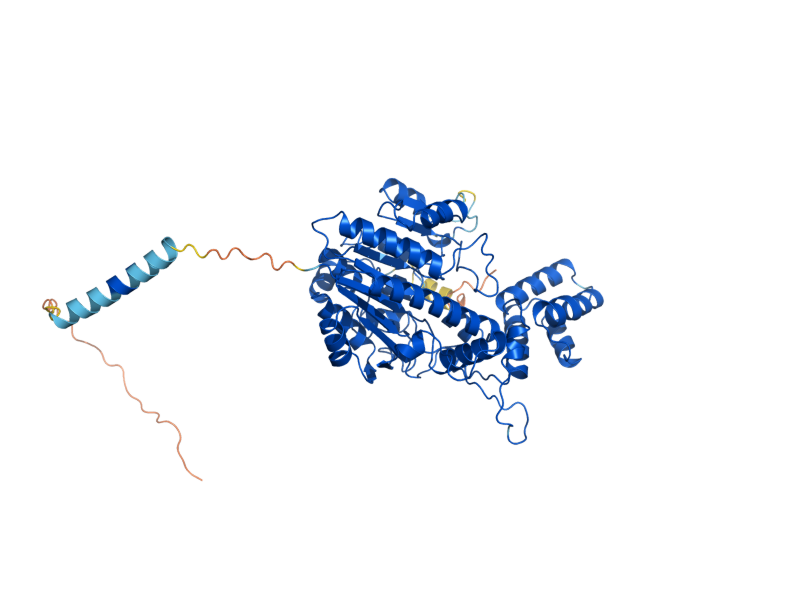 AlphaFold predicted structure of PHO8