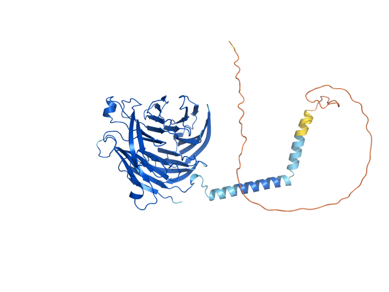 AlphaFold predicted structure of SEC12