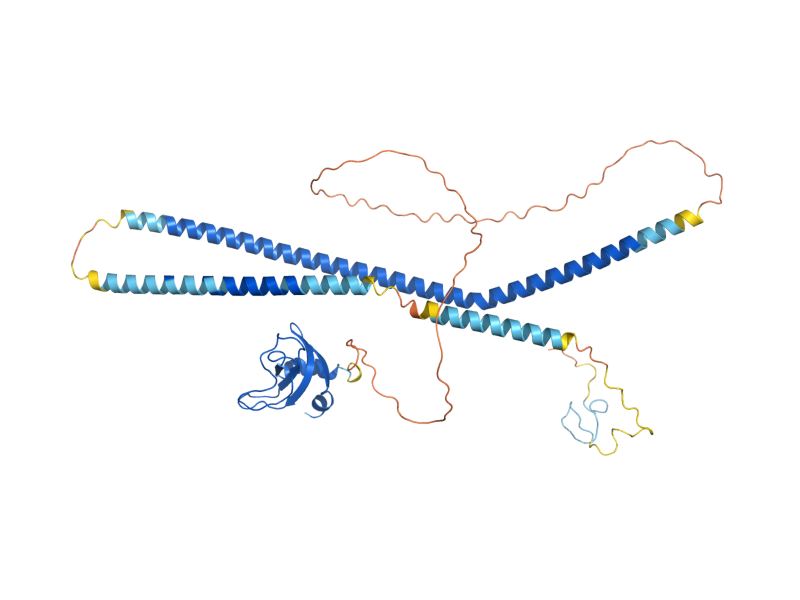 AlphaFold predicted structure of BIK1