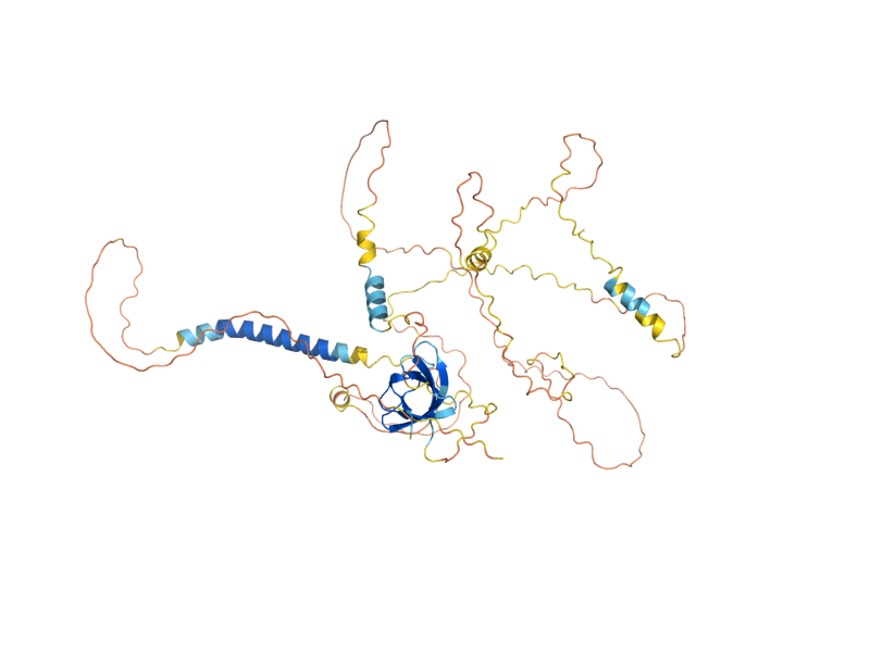 AlphaFold predicted structure of FUS1