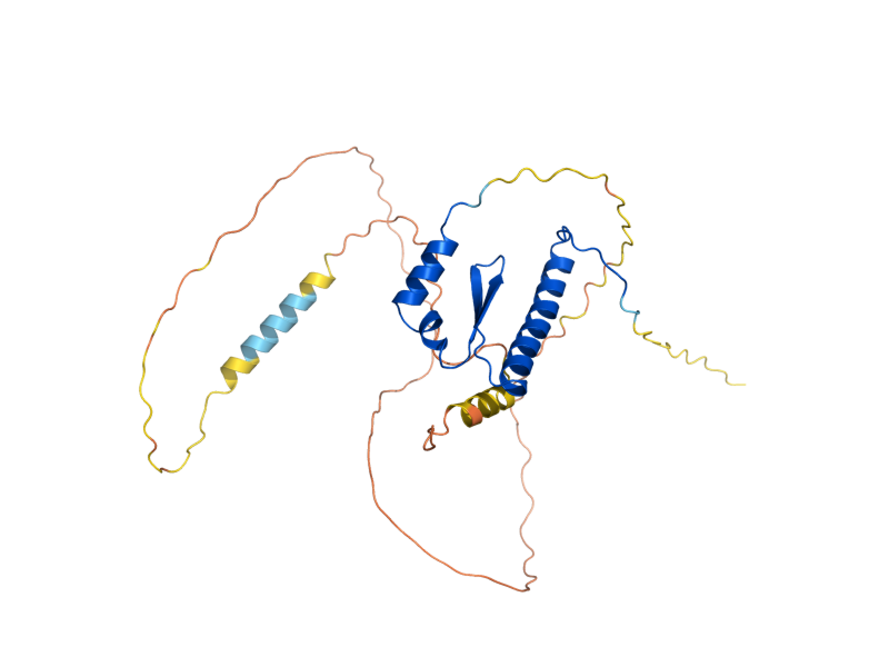 AlphaFold predicted structure of MCM1