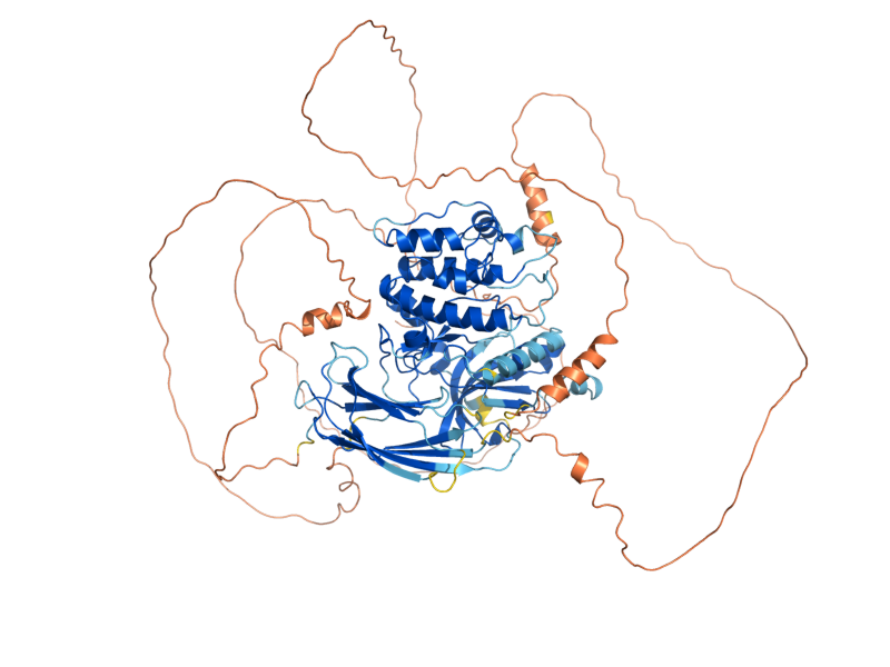 AlphaFold predicted structure of SCH9