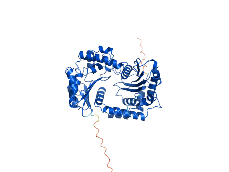 AlphaFold predicted structure of MAS2