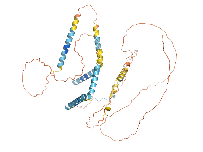 AlphaFold predicted structure of KAR1