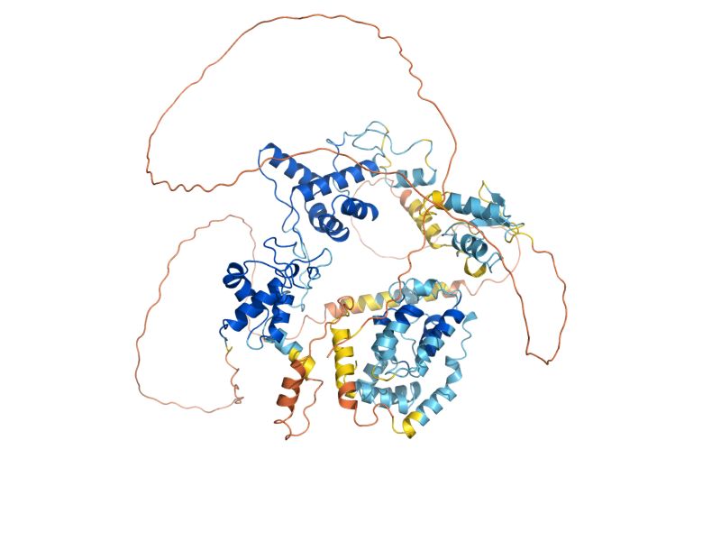 AlphaFold predicted structure of RAP1