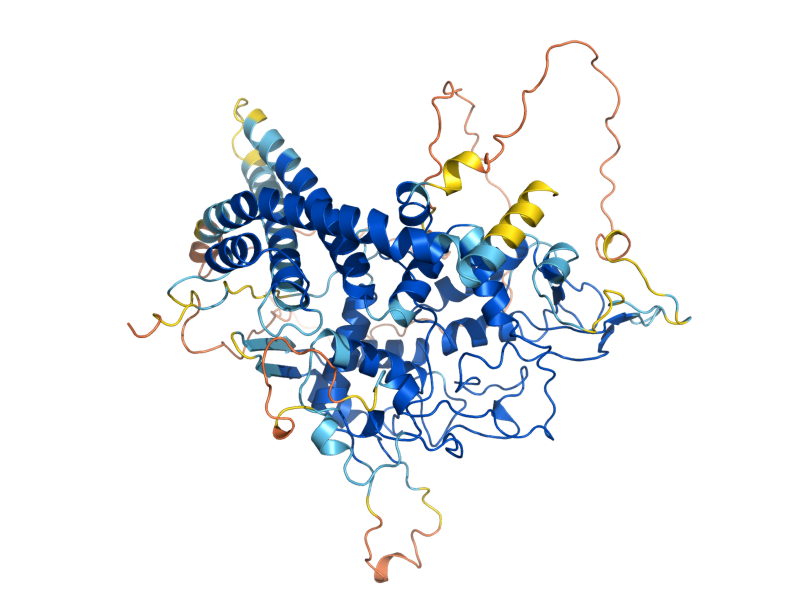 AlphaFold predicted structure of SST2