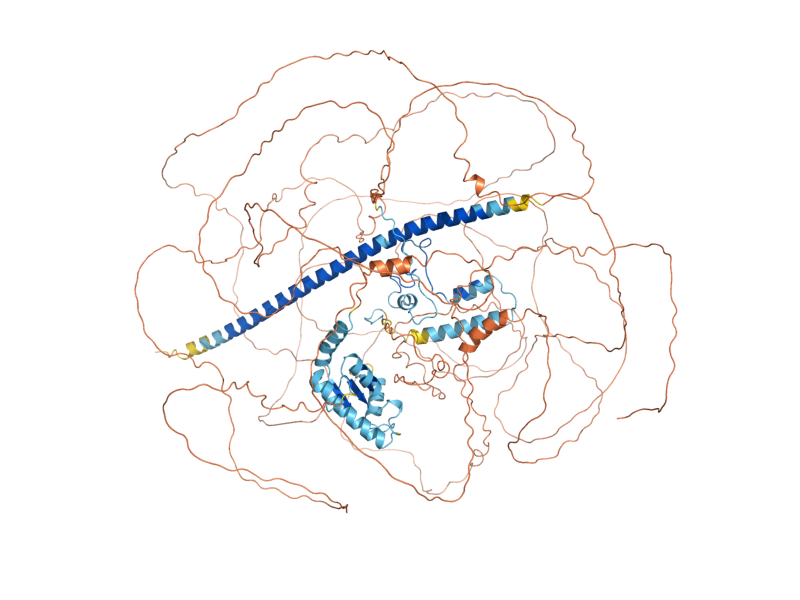AlphaFold predicted structure of SIR4