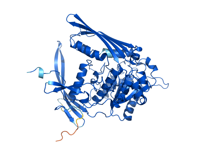 AlphaFold predicted structure of INO1