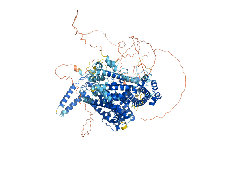 AlphaFold predicted structure of PDR1