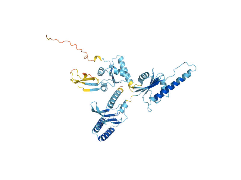 AlphaFold predicted structure of SUP45