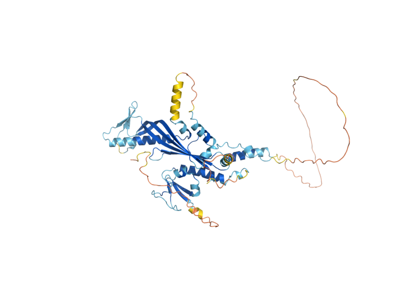 AlphaFold predicted structure of WHI2